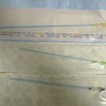 P1010281