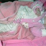suhinskaya_photo