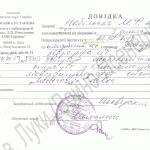 nabilskaya_spravka