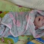 Svichkolap_photo1