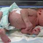 Baby_photo2