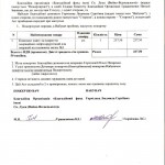 Акт Горчилова от 14.02.2014 001