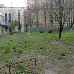 P1040292