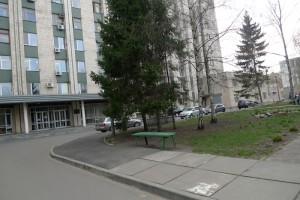 P1040306