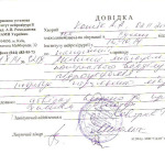 Котик справка 001