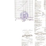 Чеки А.П 001