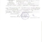 Василенко Роман. Справка 001