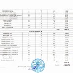 Калькуляция - лист 2